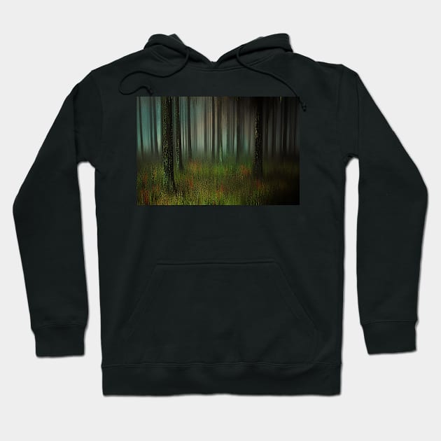 Forest Shadows Hoodie by JimDeFazioPhotography